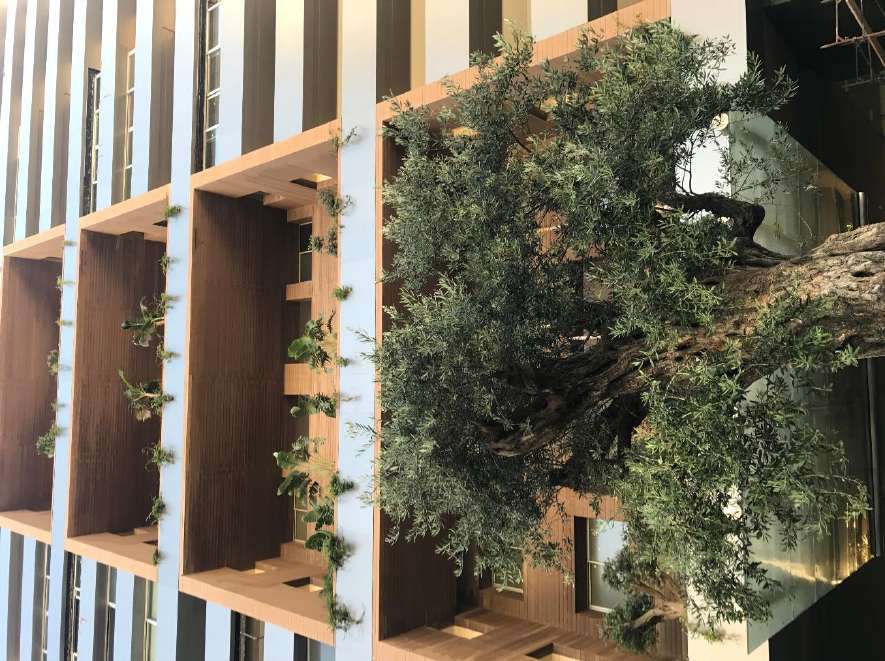 Olive Residence